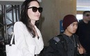 Angelina Jolie bị tố làm giả giấy tờ nhận nuôi Maddox