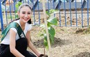 Hà Thu tạm dẫn đầu bình chọn giải Hoa hậu ảnh của Miss Earth