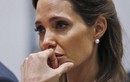 Angelina Jolie cầu xin Brad Pitt trở về sau cuộc chiến ly hôn