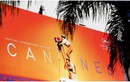 BTC hoãn LHP Cannes 2020 vì Covid-19 bùng phát khắp nơi