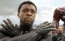 Chuyện tình của "Báo Đen" Chadwick Boseman trước khi qua đời