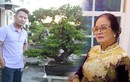 Trộm đột nhập nhà Bằng Kiều tại Mỹ “khoắng” cây bonsai đắt đỏ