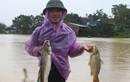 Người dân ngoại thành Hà Nội ra đường bắt cá trong nước lũ