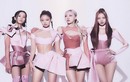 VCPMC đề nghị thu hồi giấy phép biểu diễn của BlackPink tại Việt Nam