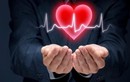 Cách bảo vệ sức khỏe tim mạch, tránh nguy cơ gây bệnh