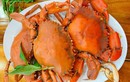 Bị zona thần kinh có ăn được cua?