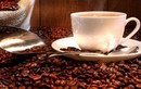 Mối nguy tiềm ẩn từ cà phê pha tạp chất