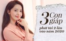 3 con giáp phát tài bất ngờ trong năm 2020