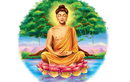 Lời Phật dạy: Có duyên mới gặp hết duyên khó mà tìm
