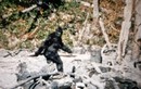 Tìm ra bằng chứng không thể chối cãi về sự tồn tại của quái vật Bigfoot?