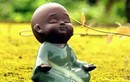 Phật dạy: Hữu duyên sẽ tương ngộ, vô duyên gặp gỡ lại chia xa
