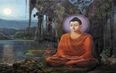 Phật dạy: Hãy sống tốt, đừng quan tâm người khác nghĩ gì về mình