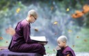 Phật dạy: Buông bỏ được 5 thứ, cuộc đời sẽ thuận lợi an nhiên