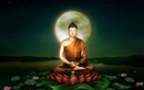 Mỹ đức khiến Đức Phật cảm động, sớm muộn cũng nhận được phúc báo