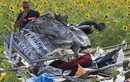 Lộ lý do Kiev chia sẻ thông tin hộp đen MH17