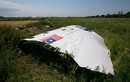 Báo cáo chính thức: MH17 bị rơi do vật thể bên ngoài