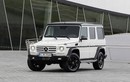 Phiên bản Mercedes-Benz G-Class đặc biệt trình làng