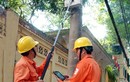 Xem nhân viên EVN làm việc với "gậy tự sướng"