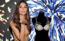 Ngắm nội y triệu đô tại Victoria's Secret Fashion Show 2015 