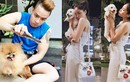 Giật minh sao Việt chi bạo mua sắm cho thú cưng