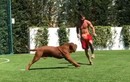 Video: Messi phô diễn kỹ thuật cá nhân điêu luyện bên cạnh cún cưng