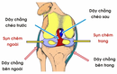 Chấn thương rách sụn chêm như Văn Toàn nguy hiểm ra sao?