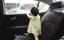 Chuyên gia phân tích diễn biến khi trẻ bị bỏ quên trên ô tô