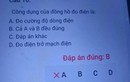 Nhìn câu hỏi môn Công nghệ, học trò 'té ngửa' khi biết ý nghĩa thâm sâu