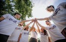 Nhiều nhân viên không dám từ chối chơi team building nhạy cảm