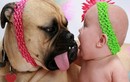 Khi bé yêu "cưỡng hôn" động vật (2)