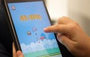 Chuyên gia game Việt: Flappy Bird "ăn rùa"