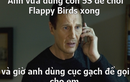 Ảnh chế hài hước người chơi cay cú game Flappy Bird
