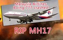 Malaysia Airlines đổi số hiệu MH17 thành MH19