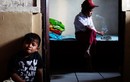 Học sinh tiểu học Indonesia miệng phì phèo thuốc lá
