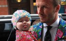 Dân mạng chế ảnh gia đình Beckham diện mốt “chăn con công“