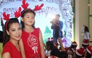 Trương Ngọc Ánh và con gái ton sur ton phát quà Noel 