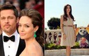 Những tài sản thuộc về Angelina Jolie sau ly hôn Brad Pitt