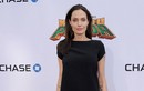 Angelina Jolie vẫn đau đáu vụ ly hôn Brad Pitt