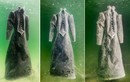Đẹp ngoạn mục váy kết tinh thể muối ở biển Chết 