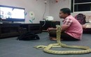 Chàng trai coi rắn là bạn gái đầu thai chuyển kiếp của mình