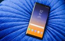 Video: Mở hộp smartphone Galaxy Note 9 vừa ra mắt