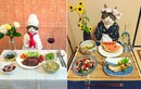 Chú mèo nổi tiếng khoe món ăn khiến con người "thèm nhỏ dãi"