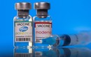 Hỏi đáp COVID-19: Tiêm mũi 1 vắc xin Moderna “mix” mũi 2 Pfizer có tốt?