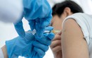 Lý do vaccine COVID-19 không đem lại miễn dịch suốt đời như các loại vaccine khác