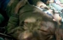 Phát hiện một nam giới tử vong trong rừng ở TP Đà Lạt