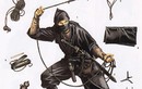 Sự thực gây sốc về Ninja