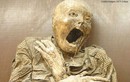 10 bảo tàng “chết chóc” rùng rợn nhất thế giới