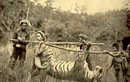 Ảnh độc: Cảnh săn bắn ở Việt Nam thời Pháp thuộc