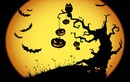 Bốn truyền thuyết nghe xong rùng mình về lễ hội Halloween