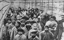 Những con số giật mình về thảm họa diệt chủng Holocaust